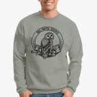 "Совиная почта"