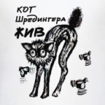  Кот Шредингера