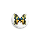 Бабочка МАХАОН