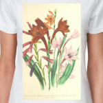 Букет лилий (винтаж)