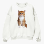 Свитшот оверсайз