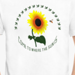 Подсолнух Подсолнечник Helianthus - Цветок солнца