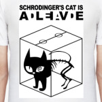 Кот Шрёдингера