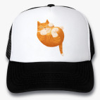 Кепки Trucker