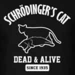 Кот Шрёдингера