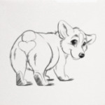 corgi butt