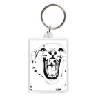 Mawshot. Snow Bars| Lioness