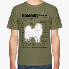 ЧАВО. Взрослый Самоед