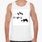 бордер колли