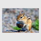 Как прекрасен этот мир