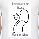  Schrodinger's cat