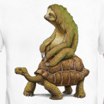 Ленивец на черепахе