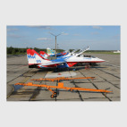 МиГ-29 'Стрижи'