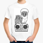Совы. Совушки. Owl. Owls.