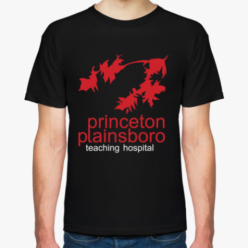 Футболка с принтом Princeton