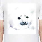 Малыш тюлень