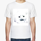 Малыш тюлень