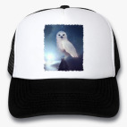 Кепки Trucker