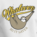 Whatever Do It Later !