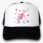Кепки Trucker