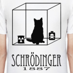 Кот Шрёдингера