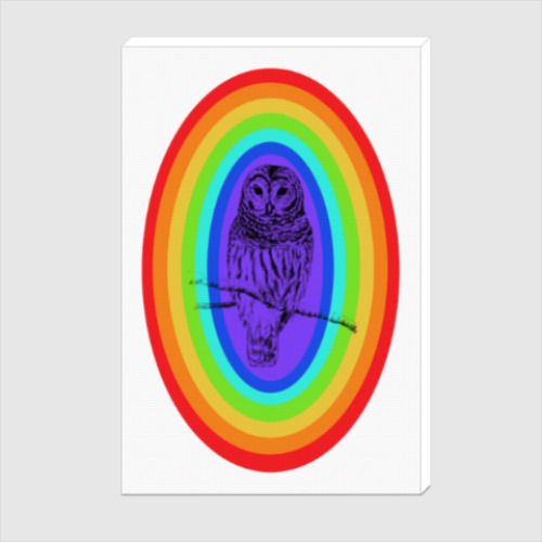 Холст с принтом Радужная сова