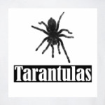 Tarantulas