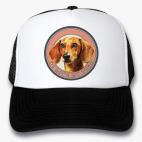 Кепки Trucker