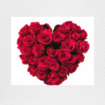 Сердце из роз