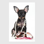 Собаки и щенки