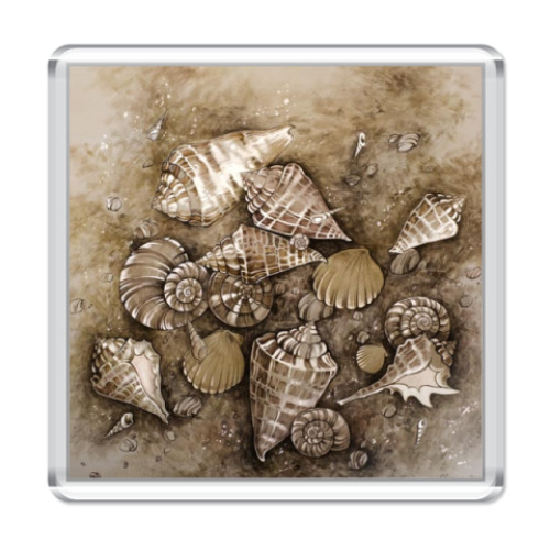 Магнит с принтом Ракушки