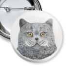 Британский кот