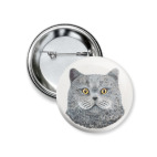 Британский кот