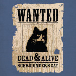 Розыск - кот Шредингера