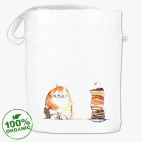 Толстый кот