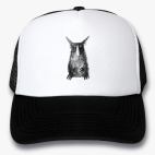 Кепки Trucker