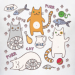 Котики