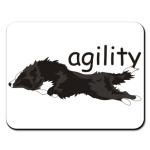 бордер колли