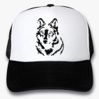 Кепки Trucker