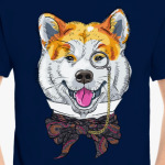 Собака хипстер Акита Ину