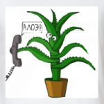 Aloe