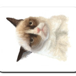 Grumpy Cat