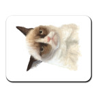 Коврик для мыши Grumpy Cat