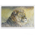 Львиная гордость