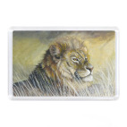 Магнит 7,5 x 5,1 см Львиная гордость