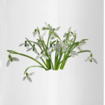 Подснежник 1