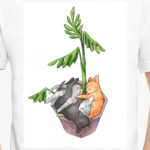 Котики - цветы жизни