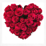 Сердце из роз