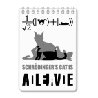 Блокнот А6 Котэ Шрёдингера