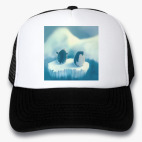 Кепки Trucker